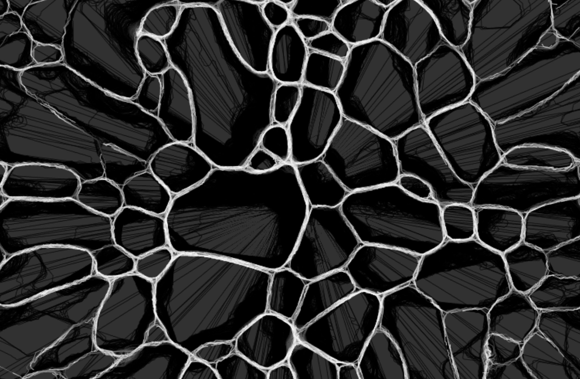Slime mold simulation